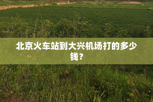 北京火车站到大兴机场打的多少钱？