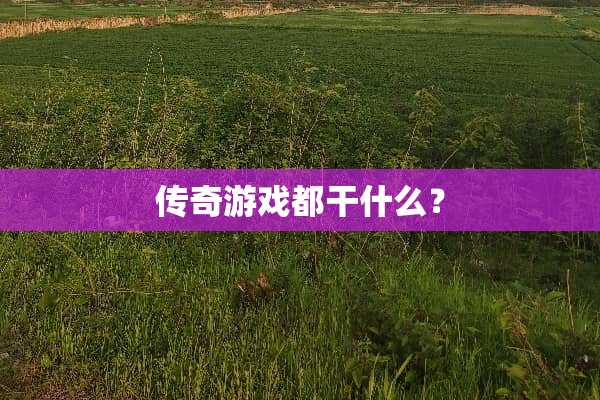 传奇游戏都干什么？