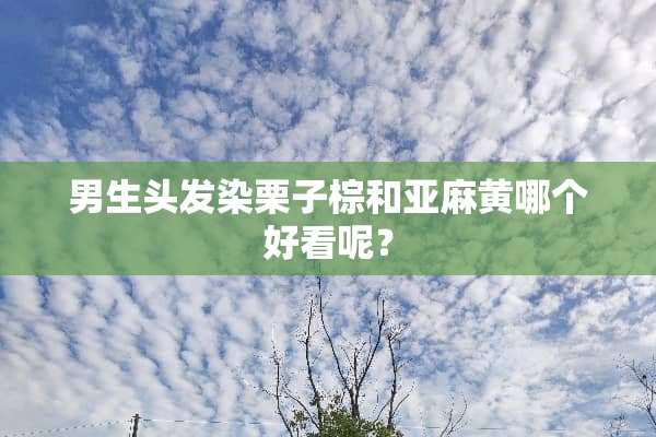 男生头发染栗子棕和亚麻黄哪个好看呢？