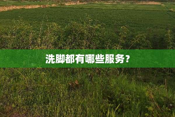 洗脚都有哪些服务？