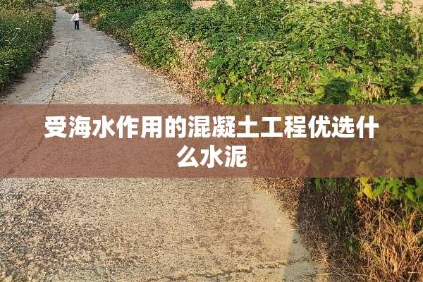 受海水作用的混凝土工程优选什么水泥