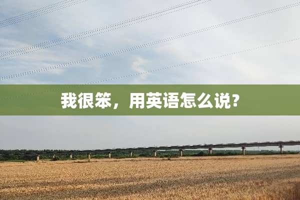 我很笨，用英语怎么说？
