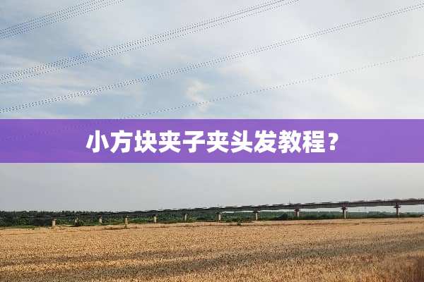 小方块夹子夹头发教程？