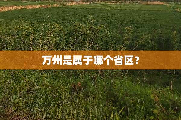 万州是属于哪个省区？