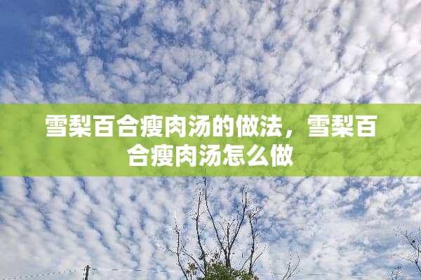 雪梨百合瘦肉汤的做法，雪梨百合瘦肉汤怎么做