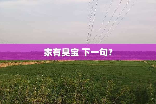 家有臭宝 下一句？