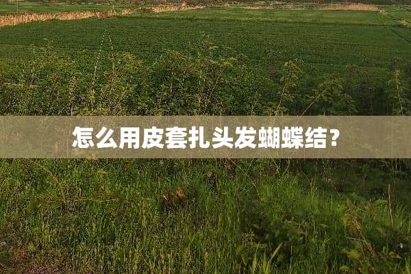 怎么用皮套扎头发蝴蝶结？