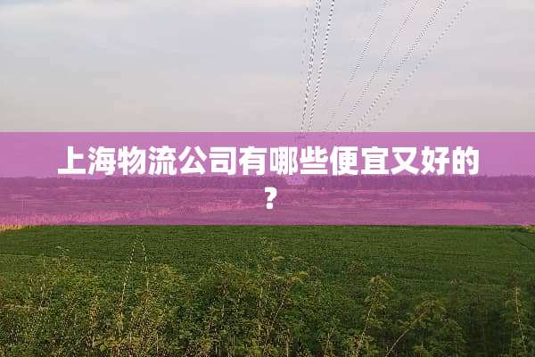 上海物流公司有哪些便宜又好的？