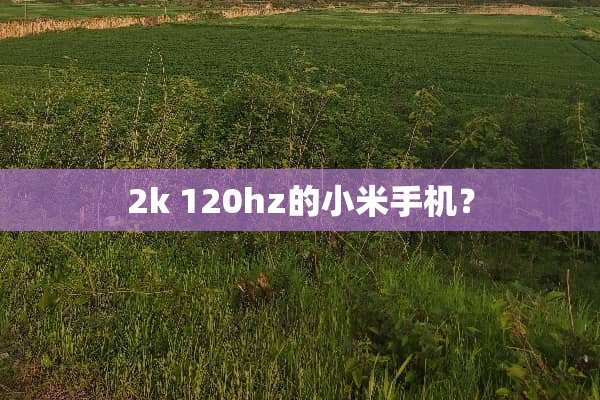 2k 120hz的小米手机？