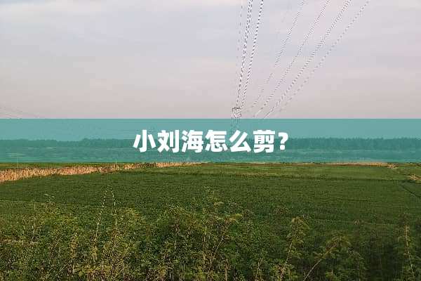 小刘海怎么剪？