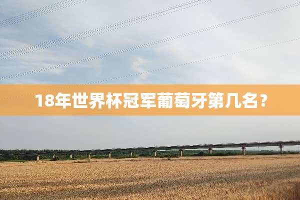 18年世界杯冠军葡萄牙第几名？