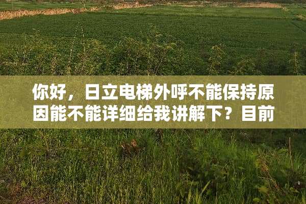 你好，日立电梯外呼不能保持原因能不能详细给我讲解下？目前我这外呼