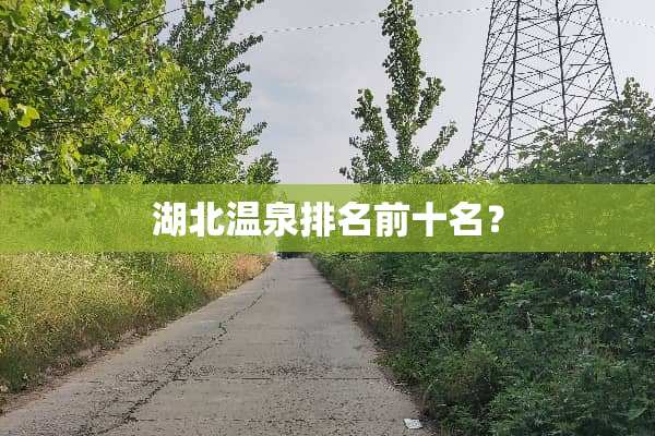 湖北温泉排名前十名？