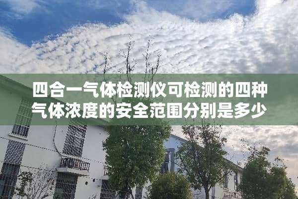四合一气体检测仪可检测的四种气体浓度的安全范围分别是多少