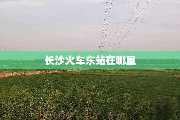 长沙火车东站在哪里