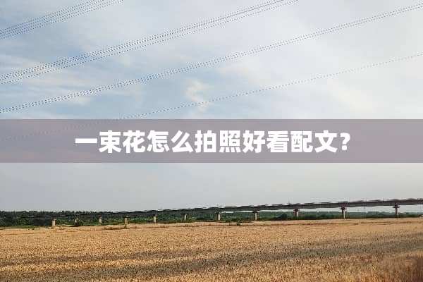 一束花怎么拍照好看配文？