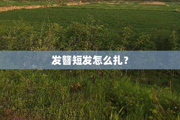 发簪短发怎么扎？