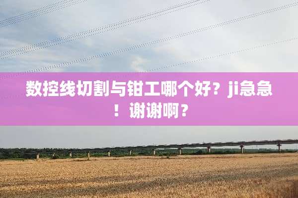 数控线切割与钳工哪个好？ji急急！谢谢啊？