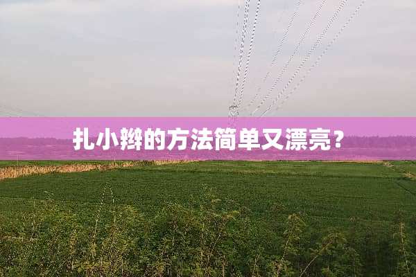 扎小辫的方法简单又漂亮？