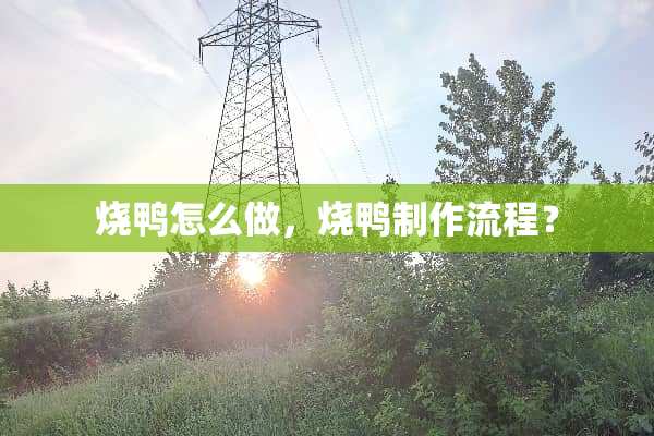 烧鸭怎么做，烧鸭制作流程？