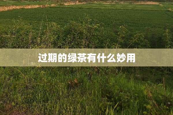 过期的绿茶有什么妙用