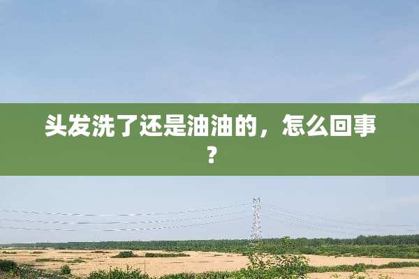 头发洗了还是油油的，怎么回事？