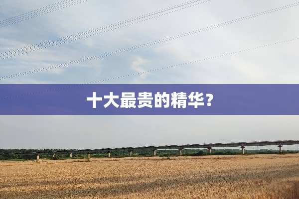 十大最贵的精华？