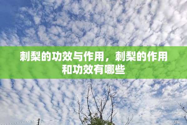 刺梨的功效与作用，刺梨的作用和功效有哪些