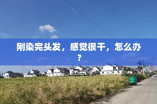 刚染完头发，感觉很干，怎么办？