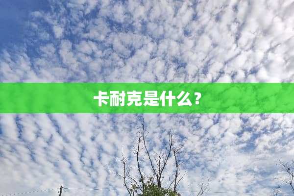 卡耐克是什么？