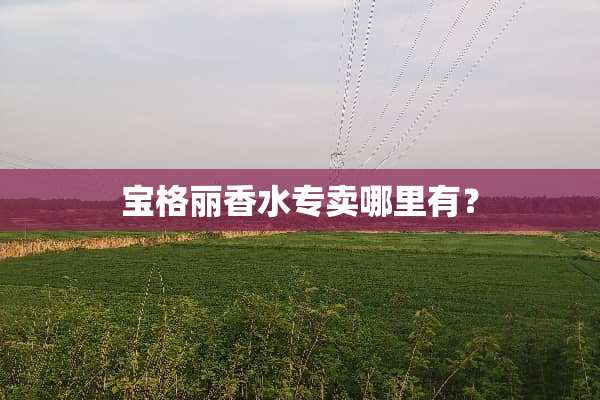 宝格丽香水专卖哪里有？