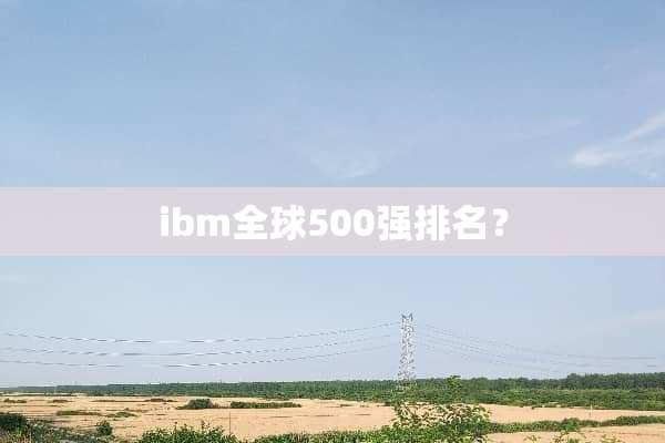 ibm全球500强排名？