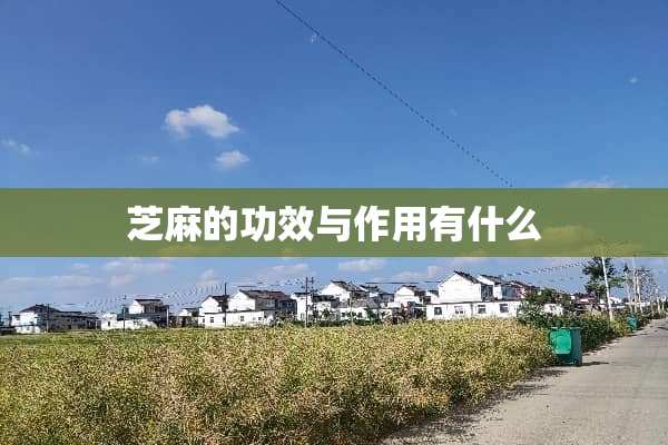 芝麻的功效与作用有什么