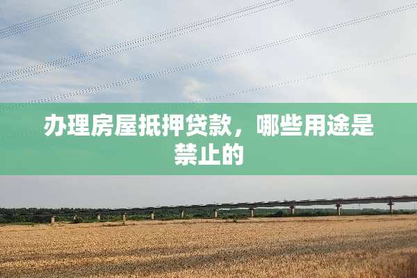 办理房屋抵押贷款，哪些用途是禁止的