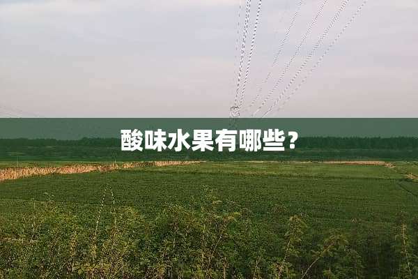 酸味水果有哪些？