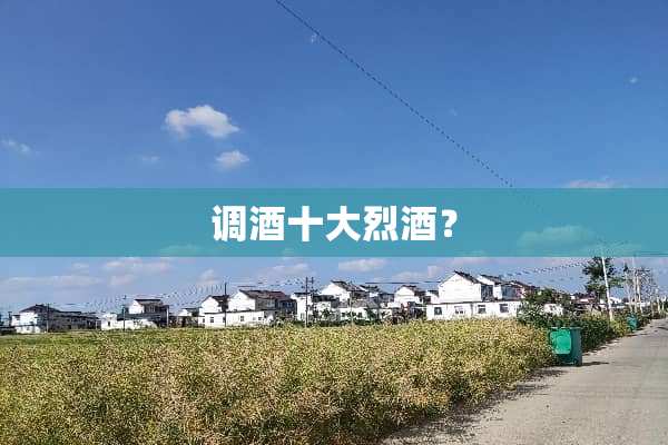 调酒十大烈酒？