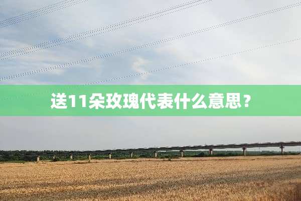 送11朵玫瑰代表什么意思？