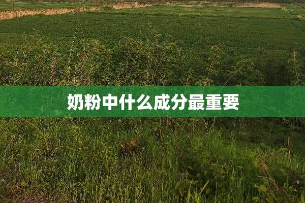 奶粉中什么成分最重要