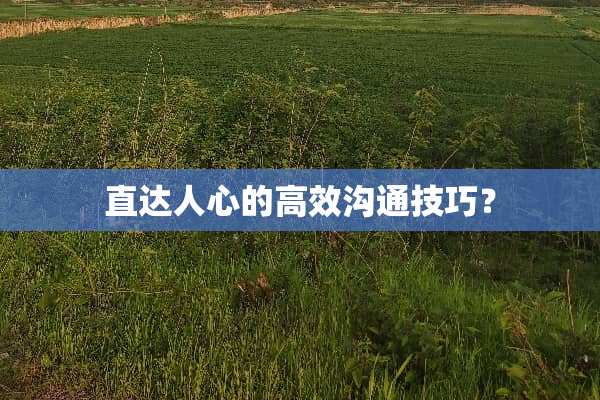 直达人心的高效沟通技巧？