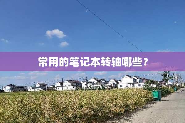 常用的笔记本转轴哪些？