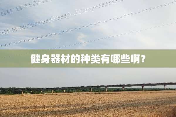 健身器材的种类有哪些啊？