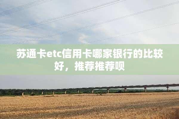 苏通卡etc***哪家银行的比较好，推荐推荐呗