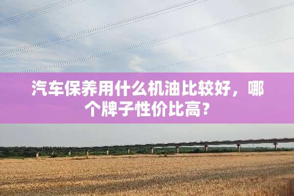 汽车保养用什么机油比较好，哪个牌子性价比高？