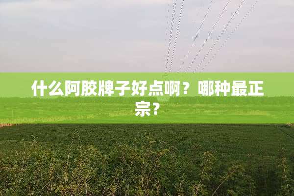 什么阿胶牌子好点啊？哪种最正宗？