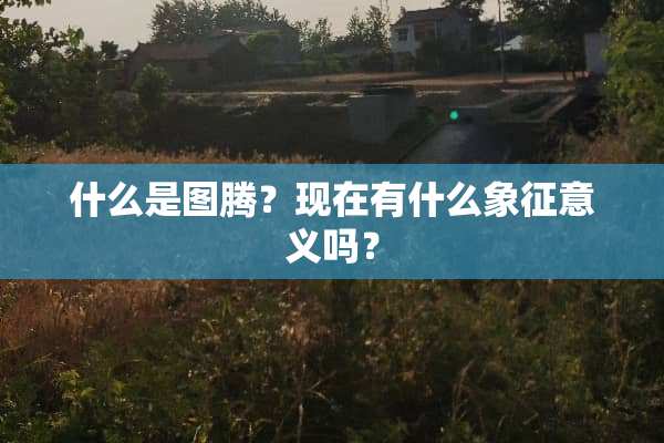 什么是图腾？现在有什么象征意义吗？