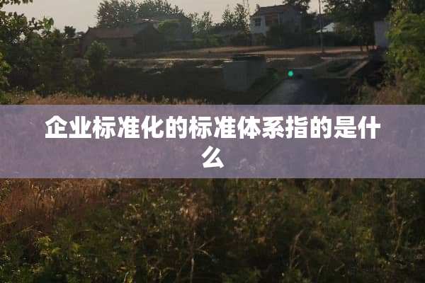 企业标准化的标准体系指的是什么