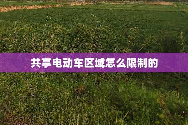 共享电动车区域怎么限制的