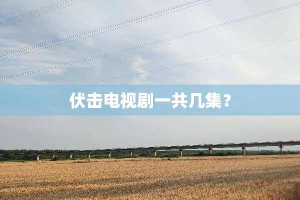 伏击电视剧一共几集？