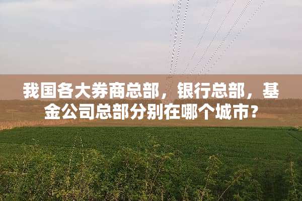 我国各大券商总部，银行总部，基金公司总部分别在哪个城市？
