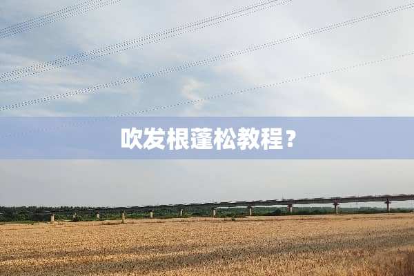 吹发根蓬松教程？